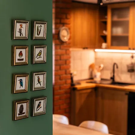 Semesterbostad Kicikla Fire & Wine