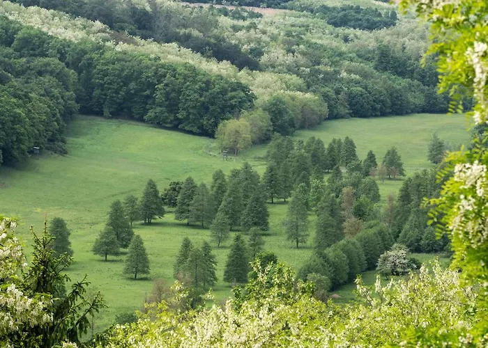 Kicikla Fire & Wine Dom wakacyjny