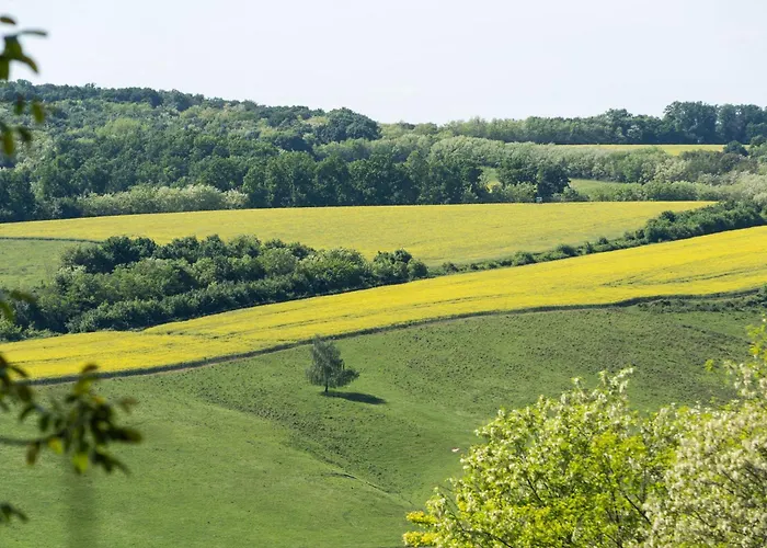 Kicikla Fire & Wine Dom wakacyjny